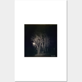 'Night Vision' Posters and Art